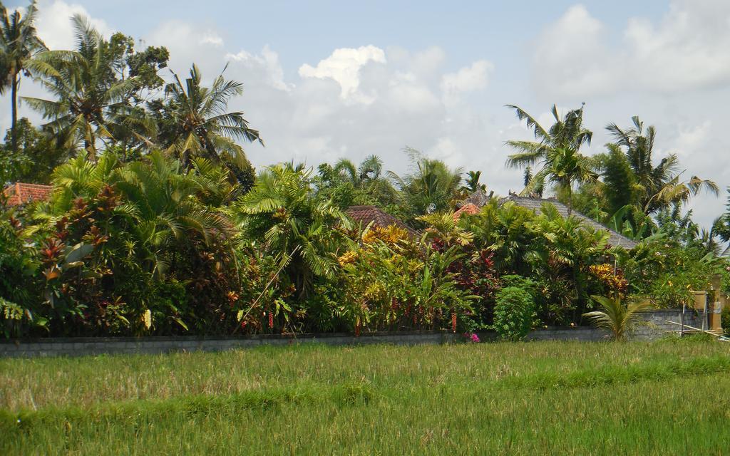 Esa Ubud