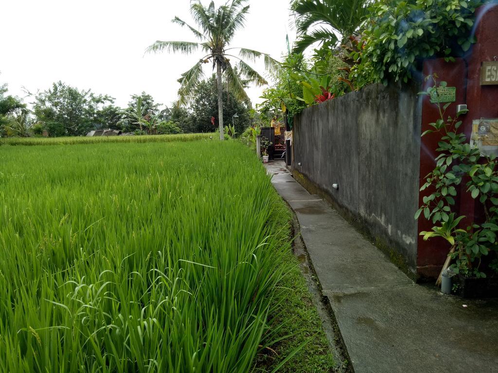 Esa * Ubud